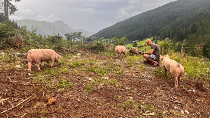 Martin (2ter von rechts :-) bei der Arbeit Martin (2ter von rechts :-) bei der Arbeit