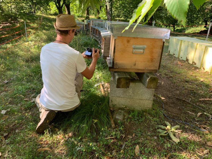 Thomas bei seinen Bienenstöcken