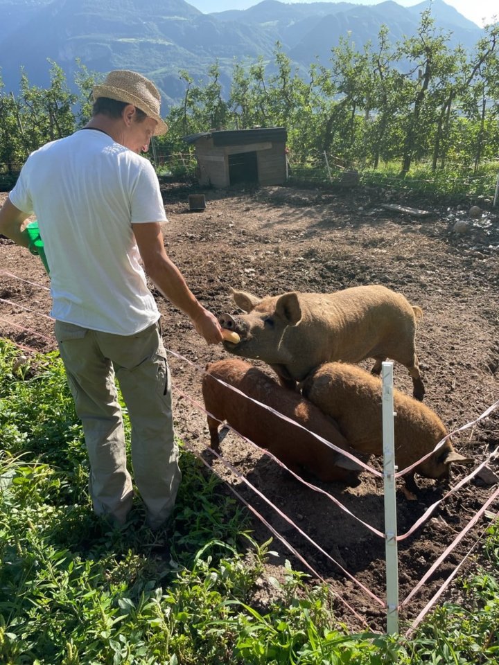 Thomas beim Füttern seiner Schweine