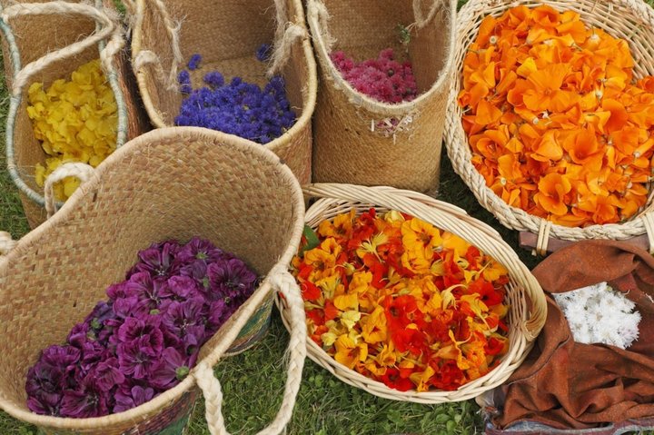 Vielfalt an Blumen und Farben