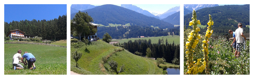 Untersteinhof in Niederdorf 