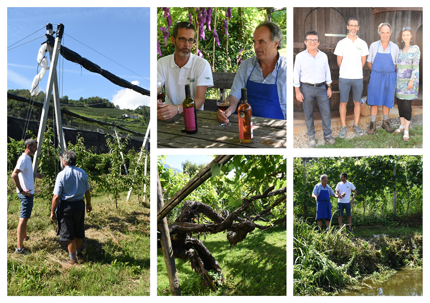 "Weinexperten unter sich" bei der Verkostung von excellenten PIWI-Weinen