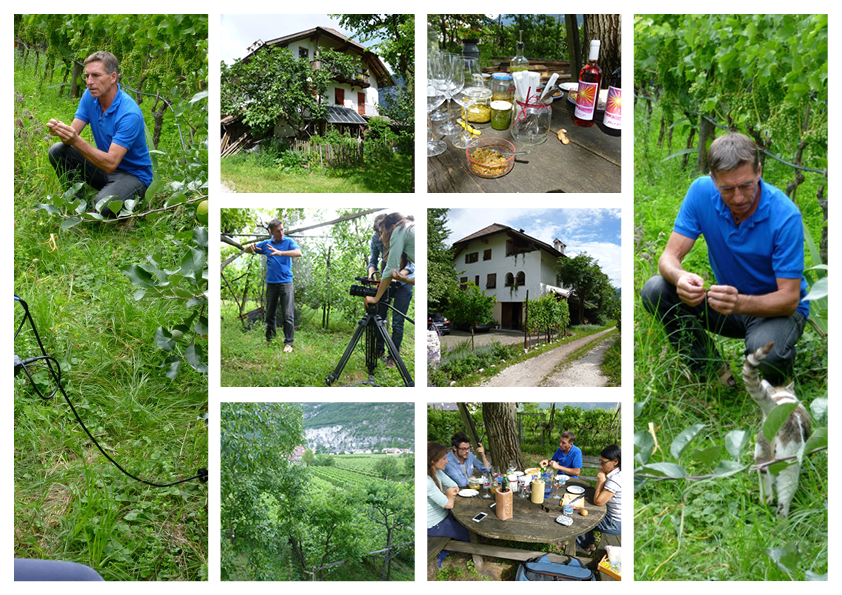 Der Hof des passionierten Biobauern in Margreid